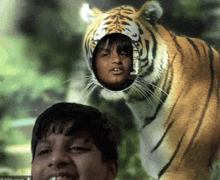 Tiger Aryan Puli Oak GIF - Tiger Aryan Puli Oak Puli GIFs