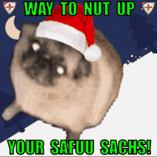 safuu safuu sachs way to nut up way to nut up your safuu sachs safu