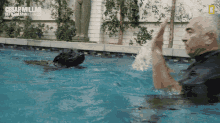 Swimming Dog Cesar Millan GIF - Swimming Dog Cesar Millan Cesar Millan Better Human Better Dog GIFs