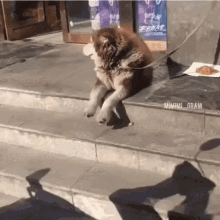 Dogs Waiting GIF - Dogs Waiting GIFs