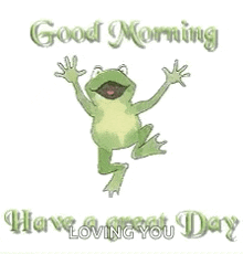 Funny Goodmorning GIF - Funny Goodmorning Haveagreatday GIFs
