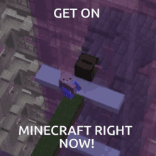 Get On Get On Mincraft GIF - Get On Get On Mincraft Minecraft Right Now GIFs