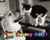 a dog and a cat are looking at each other with the words be my ally in the corner