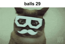 Balls 29 Cat GIF