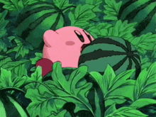 Kirby Watermelon GIF - Kirby Watermelon GIFs