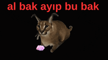 Ayıp GIF