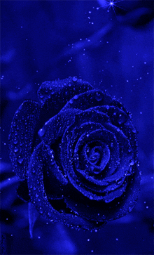 Sparkly Blue Rose GIF - Sparkly Blue Rose GIFs