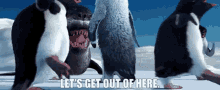 Happy Feet Lets Get Out Of Here GIF - Happy Feet Lets Get Out Of Here We Need To Leave GIFs