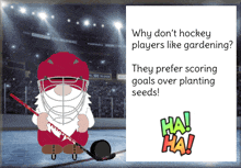 gnome hockey funny joke