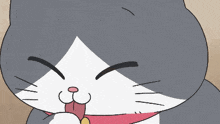 a close up of a cat with its tongue hanging out