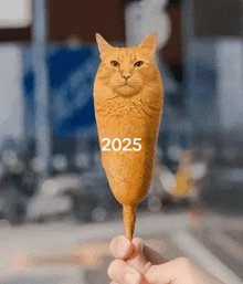 a person is holding a cat on a stick that says 2025 on it