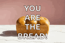 Thebread Youarethebread GIF - Thebread Bread Youarethebread GIFs
