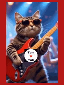 a cat wearing sunglasses is holding a red guitar with the words tum tak on the bottom right