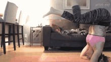 Cats Ouch GIF - Cats Ouch Exercise GIFs