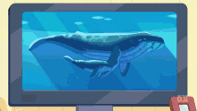 Whale Splash GIF