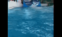 a person is going down a water slide in a pool .