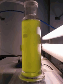Algae Bottle GIF