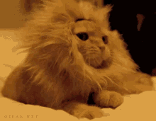 GIF
