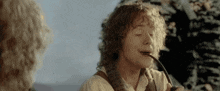 Pippin Took GIF - Pippin Took GIFs