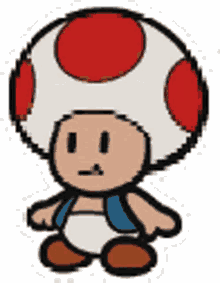 toad toad