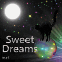 a cat is standing on a colorful ball with the words sweet dreams below it