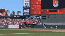 Seattle Mariners Mike Ford GIF - Seattle Mariners Mike Ford Mariners GIFs
