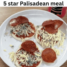 a plate of pizza with the words 5 star palisadean meal written above it
