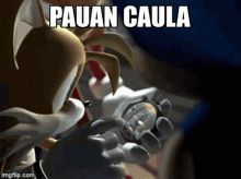 Pauan Caula Cauan Paula GIF - Pauan Caula Cauan Paula Sonic Riders GIFs