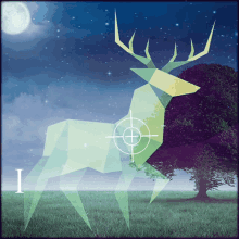 Deer Hunting GIF - Deer Hunting In GIFs