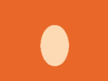 Chicken Egg GIF