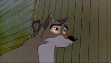 Balto Dog GIF - Balto Dog Wolfdog GIFs