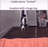 a dog wearing glasses is hanging upside down in a closet .
