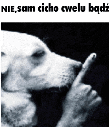 a black and white photo of a dog with the words nie sam cicho cwelu bądź below it