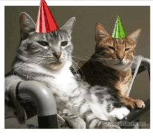 Happy New Year Party Hat GIF - Happy New Year Party Hat Smile GIFs