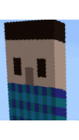 a pixel art drawing of a man with a blue plaid shirt on