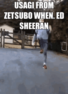 Zetsubo Ed Sheeran GIF - Zetsubo Ed Sheeran Usagi GIFs