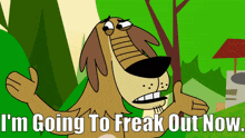 Johnny Test Dukey GIF - Johnny Test Dukey Im Going To Freak Out Now GIFs