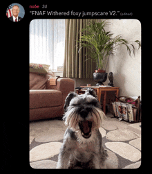 a picture of a dog in a living room with the caption " fnaf withered foxy jumpscare v2 "