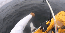 Kayak Tiburon GIF - Kayak Tiburon Pescando GIFs