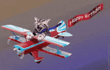 a cat is flying in a plane with a happy birthday banner