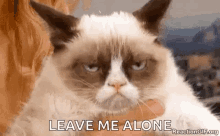 Leave Me Alone Cat GIF - Leave Me Alone Cat Grumpy GIFs