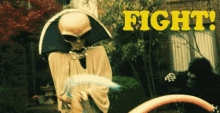 Fight Fighting GIF - Fight Fighting Funny GIFs