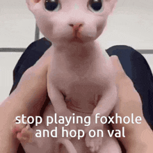 valorant foxhole