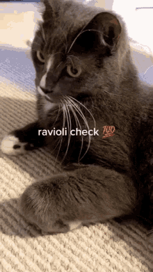 Ravioli Check GIF - Ravioli Check GIFs