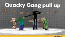 Quacky Quackygang GIF - Quacky Quackygang GIFs