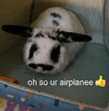 a picture of a rabbit with the words oh so ur airplanee