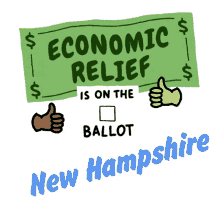 new hampshire election election voter voteeconreliefstate economy
