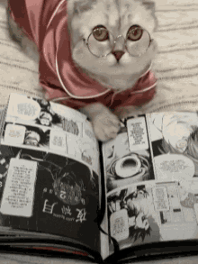 a cat wearing glasses is laying on top of a book