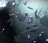 a blurred image of a person 's face with purple and blue butterflies flying around