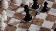 Dolan Chess GIF - Dolan Chess Sassy GIFs
